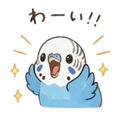 Budgerigar MU-kun