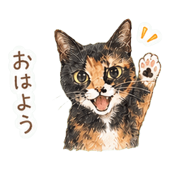 Former Rescue Cat Kaede Stickers