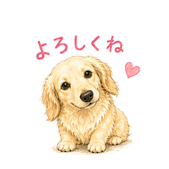 Luna Daily Cute Stickers