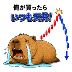 Capybara Trading Fails [Stocks-FX-BTC]