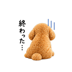 Shy Toy Poodle Illust Stickers vol.3