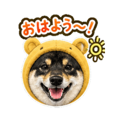 mameshiba Ryuu - Face Stickers