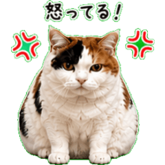 A cute, chubby calico cat sticker set.