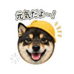 mameshiba Ryuu - Face Stickers Part 2