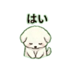 White Dog -Daily Talk Stickers