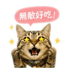 沙米素西吃午餐