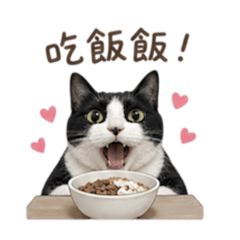 吳家小麥魯
