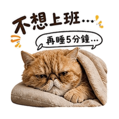 肉包不想上班