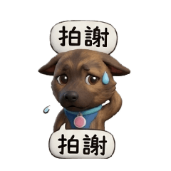 小乖和皮皮