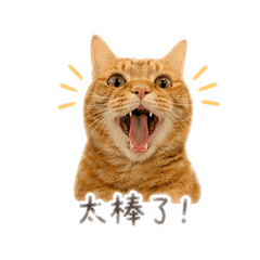 An強