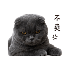 豆花^❷