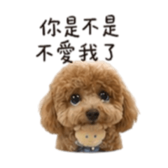 情勒小果上線