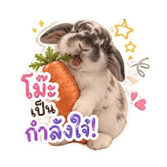 meme rabbit v1