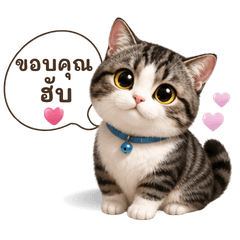 นำโชค : แมวกวน 3