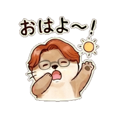 Kawauso kawachan Daily Chat Stickers