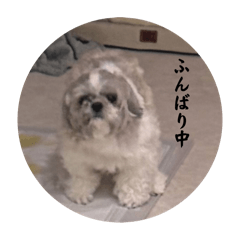 mizinko_20260503073611