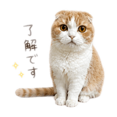mishishippi_20260503074112