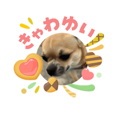 Haru_20260503080330