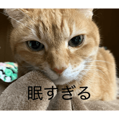 magicyuito_20260503080321