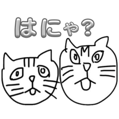 RIMI_20260503081002