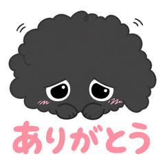 Mojamaru: The Fluffy-Haired Boy