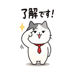 Fluffy Gray Cat Chat Pack