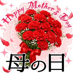 Petalsfluttering!Mother'sDay Carnations