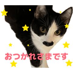 GINCHAN_20260426223315