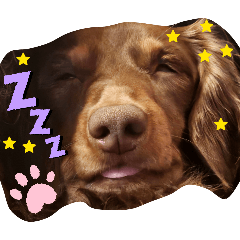 max_20260426230225