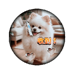 【白博美Win²】小白狗動起來v2