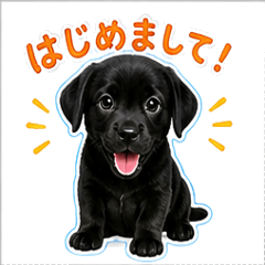 Black Puppy Stickers
