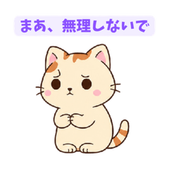 Salty Cat 11 Slightly Kinder