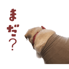 kokumotsusu_20260426224432