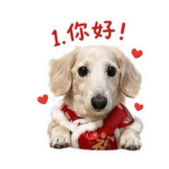 錢錢弟弟(日常用語)