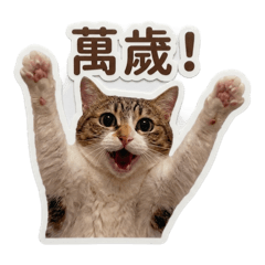 萌萌(>^ω^<) 2.0