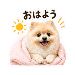 Barnie Daily Stickers 2 Pom