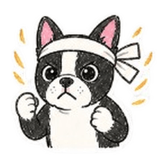 Boston Terrier Everyday Stickers