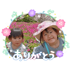 hinakoko_20260503084540