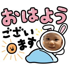 cherry_20260503084702