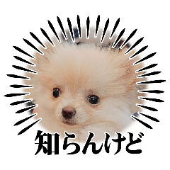 ishi_20260503085000