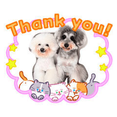 CocoAnnie_20260503084315