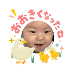 Sato_20260503085608
