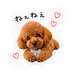 Miki_20260503090632