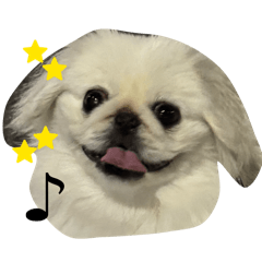 MOCHI_20260503085932