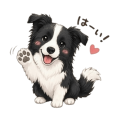 Daily Border Collie: Essential Greetings