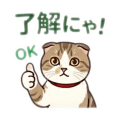 kanetai_20260427004851