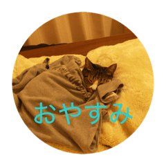 Yuka_20260430205906