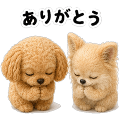 The feelings of a fluffy and cuddly duo