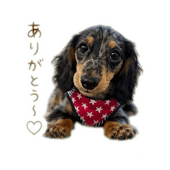 nana_20260502141100
