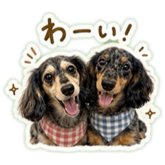 nana_20260502142025